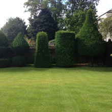 Landscape Ideas