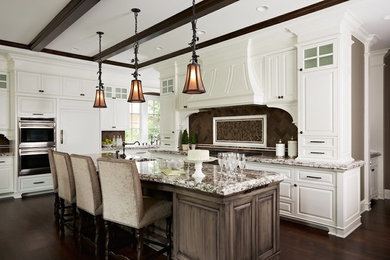Kitchen - traditional kitchen idea in Minneapolis