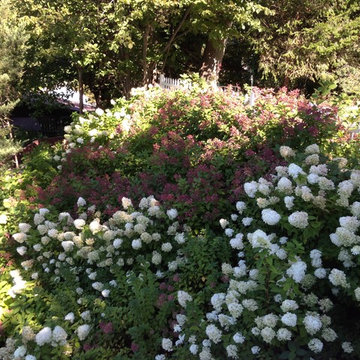 Long Beach Landscape Renovation