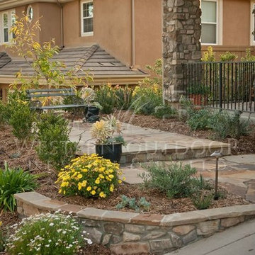 Xeriscape: Western Outdoor Designs