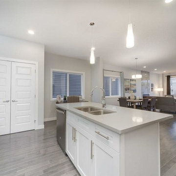 White Shaker Cabinet with Sky Grey Quartz