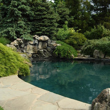 Pool - Tall oaks