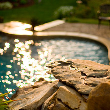 BALLANTYNE TROPICAL OASIS
