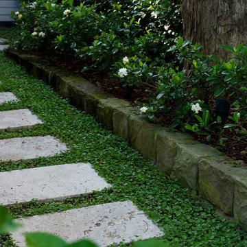 Mosman - Garden