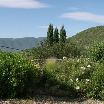 Jardin de campagne