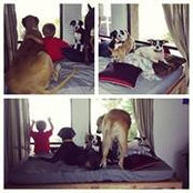 Tara Moser's photo