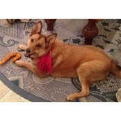 Thea Romberg's photo