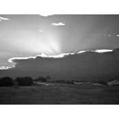 Jared Bastion's photo
