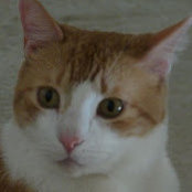 Judith Engels's photo
