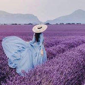 Jodye Chesson's photo