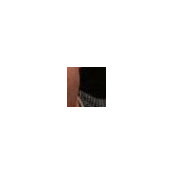 Joshua Moss's photo
