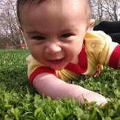 romina ilic's photo