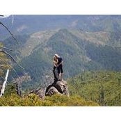 Sylvia Scheid's photo