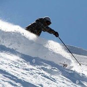 Matt Fitton's photo