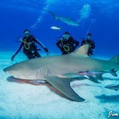 Jennifer Nolan's photo
