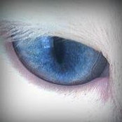 Luca Valletta's photo