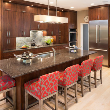 Minnetonka Contemporary Renovation