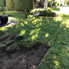 Yard drain