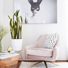 house plants
