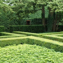 Plantings - front of house