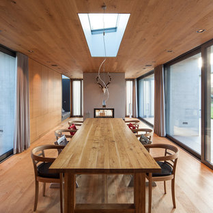 ライプツィヒの巨大なコンテンポラリースタイルのLDKの画像 (無垢フローリング、グレーの壁、両方向型暖炉、漆喰の暖炉まわり)