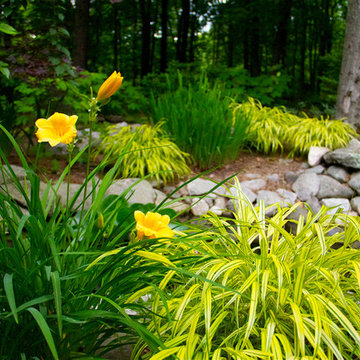 Shade Gardens