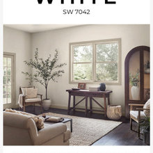 Wall Color