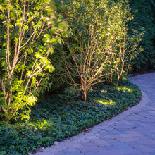 Landscape Lighting
