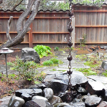 Little Whale Cove Remodel