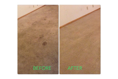 Wichita Carpet Cleanings