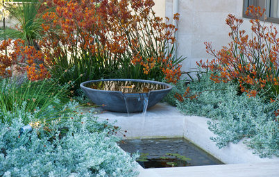 30 Tranquil Water Features to Soak Up