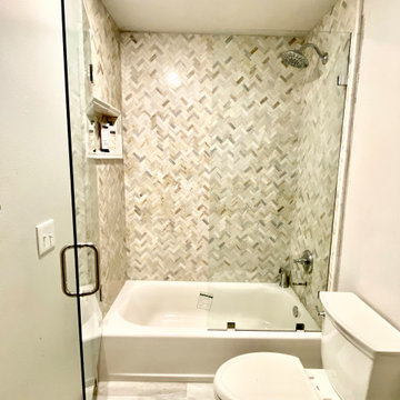 Frameless Tub Swing Door