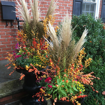 Fall Decor