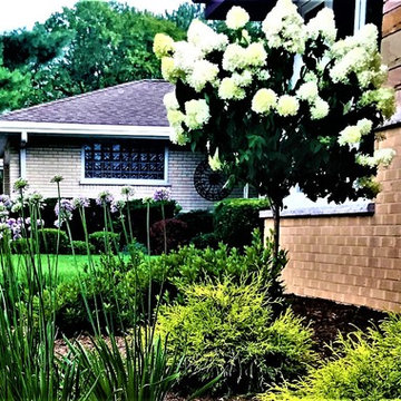 Hydrangea Tree Property