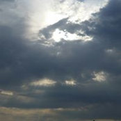 Patrick Ezard's photo