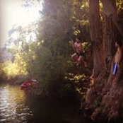 Alex Sirkin's photo