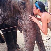 Josie Rivera-Cedano's photo