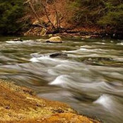 Sue Bickel's photo