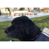 Katherine Denmead's photo
