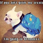 Loretta Gehard's photo