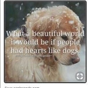 Katie LaPorte's photo