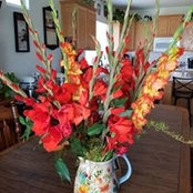 Joelle Brignoli's photo