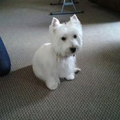 Lori Lennhoff's photo
