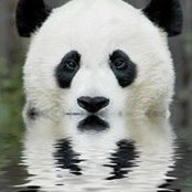 Susan Kiester's photo