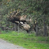 Foto von Kris Hansen