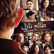 Yara Haidar's photo