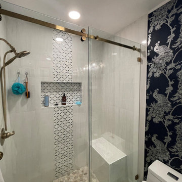 Danville Guest Bathroom remodel