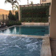 Updated Landscape and Pool