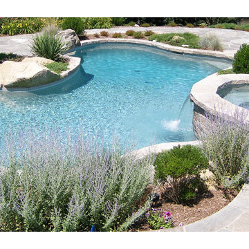 Custom Backyard Pool Portfolio