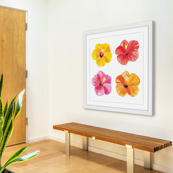 Hibiscus - Products